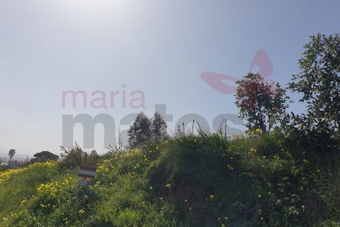 Helårsgrund i Torres Vedras, Lisbon, Torres Vedras - € 500.000 | Ref: 98355MM - foto 7