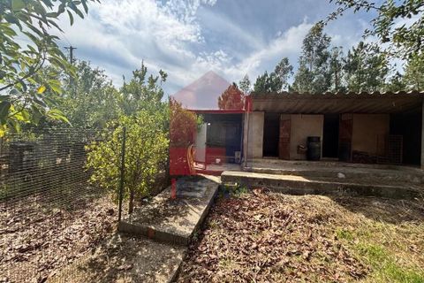 Byhus i Vila Verde, Braga, Vila Verde - € 460.000 | Ref: 08692 - foto 40