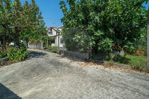 Villa in Tomar, Santarem, Tomar - € 188.000 | Ref: 121701120-232 - foto 21