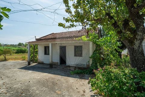 Villa in Tomar, Santarem, Tomar - € 188.000 | Ref: 121701120-232 - foto 22
