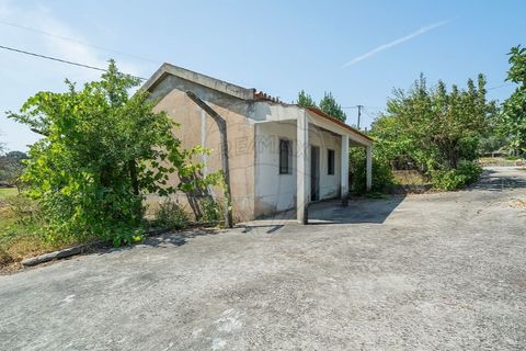 Villa in Tomar, Santarem, Tomar - € 188.000 | Ref: 121701120-232 - foto 23