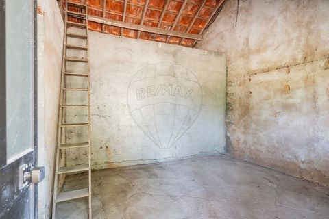 Villa in Tomar, Santarem, Tomar - € 188.000 | Ref: 121701120-232 - foto 24