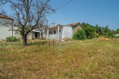 Villa in Tomar, Santarem, Tomar - € 188.000 | Ref: 121701120-232 - foto 28