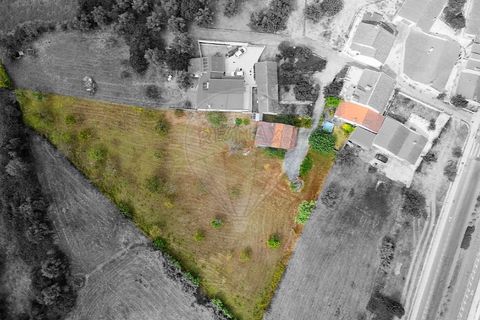 Villa in Tomar, Santarem, Tomar - € 188.000 | Ref: 121701120-232 - foto 40