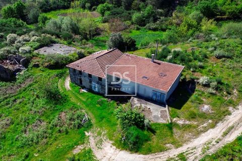 Farm hus i Grilo, Porto, Grilo - € 115.000 | Ref: DSPMCANAV42 - foto 2