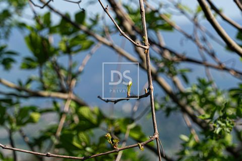 Farm hus i Grilo, Porto, Grilo - € 115.000 | Ref: DSPMCANAV42 - foto 4
