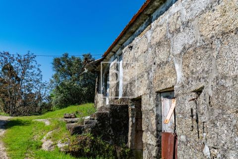 Farm hus i Grilo, Porto, Grilo - € 115.000 | Ref: DSPMCANAV42 - foto 5