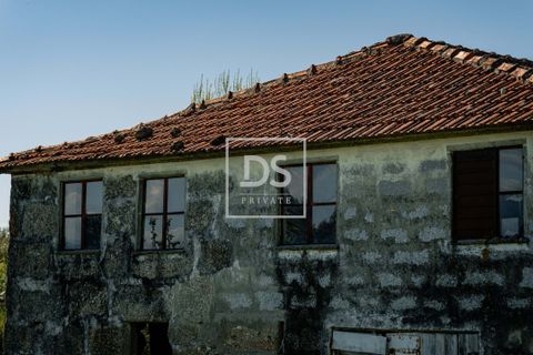 Farm hus i Grilo, Porto, Grilo - € 115.000 | Ref: DSPMCANAV42 - foto 6