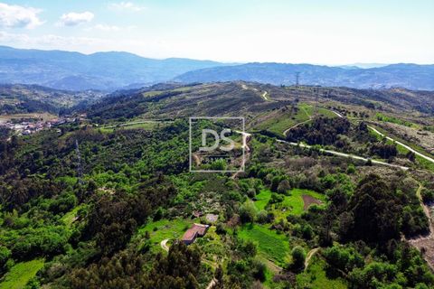 Farm hus i Grilo, Porto, Grilo - € 115.000 | Ref: DSPMCANAV42 - foto 7