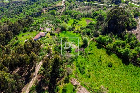 Farm hus i Grilo, Porto, Grilo - € 115.000 | Ref: DSPMCANAV42 - foto 9