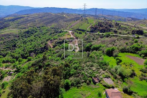Farm hus i Grilo, Porto, Grilo - € 115.000 | Ref: DSPMCANAV42 - foto 10