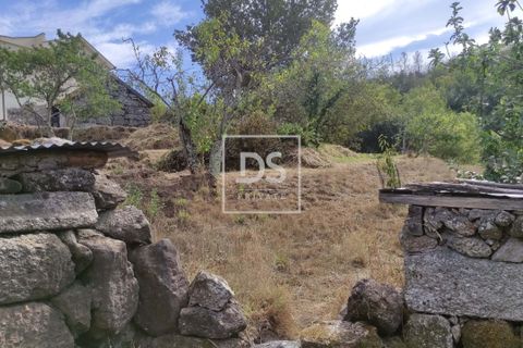 Villa i Amarante, Porto, Amarante - € 49.000 | Ref: DSPMCANAVSN22 - foto 12