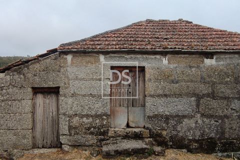 Villa i Amarante, Porto, Amarante - € 32.000 | Ref: DSPMCANAVSN23 - foto 3