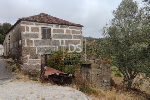 Villa i Amarante, Porto, Amarante - € 32.000 | Ref: DSPMCANAVSN23 - foto 5