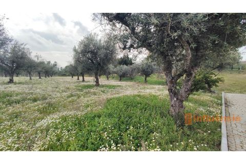 Villa a Macainhas de Baixo, Guarda, Macainhas de Baixo - € 260.000 | Ref: CAS_17 - foto 28