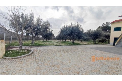 Villa a Macainhas de Baixo, Guarda, Macainhas de Baixo - € 260.000 | Ref: CAS_17 - foto 31