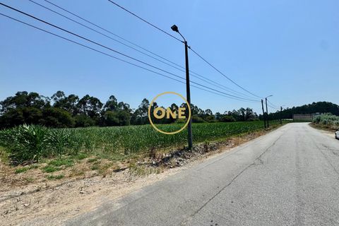 Helårsgrund i Trofa, Porto, Trofa - € 750.000 | Ref: ONE0021416-17 - foto 1