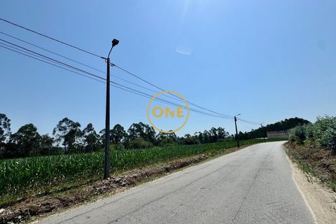 Helårsgrund i Trofa, Porto, Trofa - € 750.000 | Ref: ONE0021416-17 - foto 2