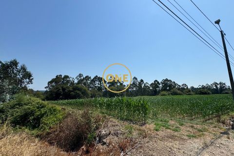 Helårsgrund i Trofa, Porto, Trofa - € 750.000 | Ref: ONE0021416-17 - foto 7