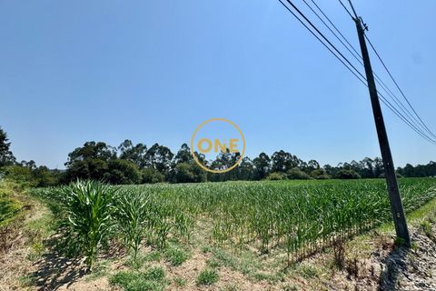 Helårsgrund i Trofa, Porto, Trofa - € 750.000 | Ref: ONE0021416-17 - foto 9