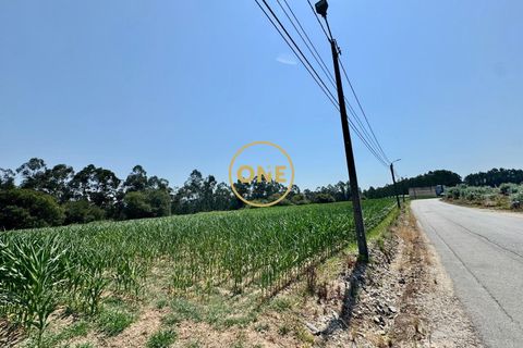 Helårsgrund i Trofa, Porto, Trofa - € 750.000 | Ref: ONE0021416-17 - foto 10