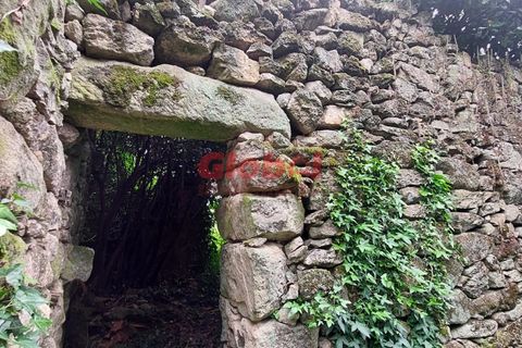Villa i Viseu, Viseu, Viseu - € 42.500 | Ref: 189242161 - foto 3