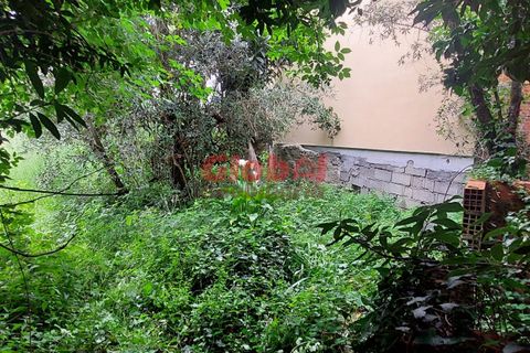 Villa i Viseu, Viseu, Viseu - € 42.500 | Ref: 189242161 - foto 4