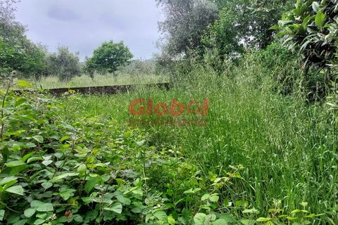Villa i Viseu, Viseu, Viseu - € 42.500 | Ref: 189242161 - foto 6