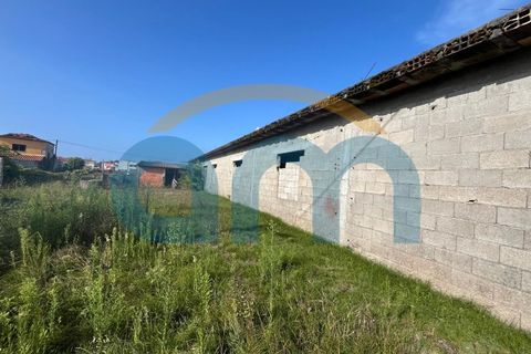 Terra a Apulia, Braga, Apulia - € 500.000 | Ref: REF AM 1072 - foto 2