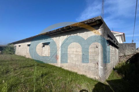 Terra a Apulia, Braga, Apulia - € 500.000 | Ref: REF AM 1072 - foto 3