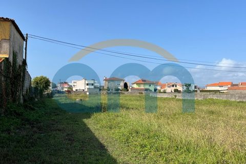 Terra a Apulia, Braga, Apulia - € 500.000 | Ref: REF AM 1072 - foto 4