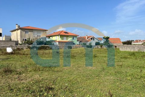 Terra a Apulia, Braga, Apulia - € 500.000 | Ref: REF AM 1072 - foto 5