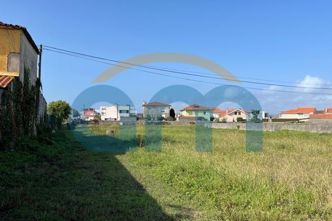 Terra a Apulia, Braga, Apulia - € 500.000 | Ref: REF AM 1072 - foto 6