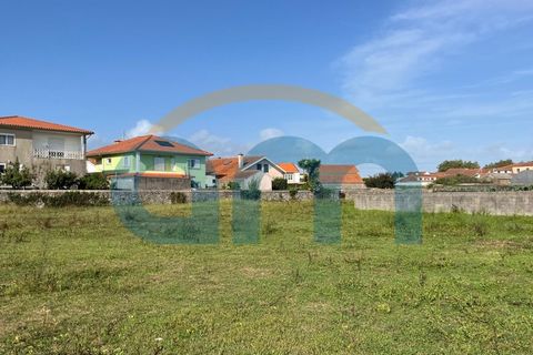 Terra a Apulia, Braga, Apulia - € 500.000 | Ref: REF AM 1072 - foto 7
