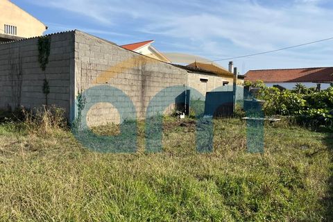 Terra a Apulia, Braga, Apulia - € 500.000 | Ref: REF AM 1072 - foto 8