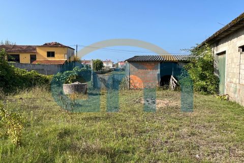 Terra a Apulia, Braga, Apulia - € 500.000 | Ref: REF AM 1072 - foto 9