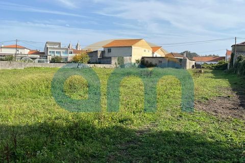 Terra a Apulia, Braga, Apulia - € 500.000 | Ref: REF AM 1072 - foto 10