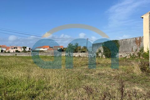 Terra a Apulia, Braga, Apulia - € 500.000 | Ref: REF AM 1072 - foto 11