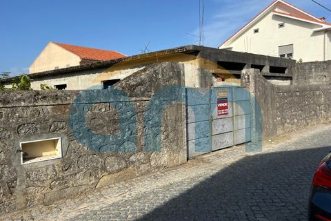 Terra a Apulia, Braga, Apulia - € 500.000 | Ref: REF AM 1072 - foto 12