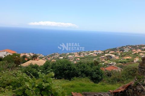 Villa i Ponta do Sol, Madeira, Ponta do Sol - € 420.000 | Ref: 071954 - foto 4