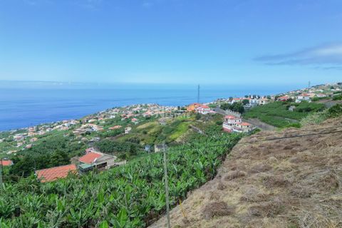 Villa i Ponta do Sol, Madeira, Ponta do Sol - € 420.000 | Ref: 071954 - foto 6