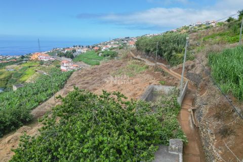 Villa i Ponta do Sol, Madeira, Ponta do Sol - € 420.000 | Ref: 071954 - foto 5