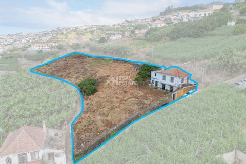 Villa i Ponta do Sol, Madeira, Ponta do Sol - € 420.000 | Ref: 071954 - foto 8