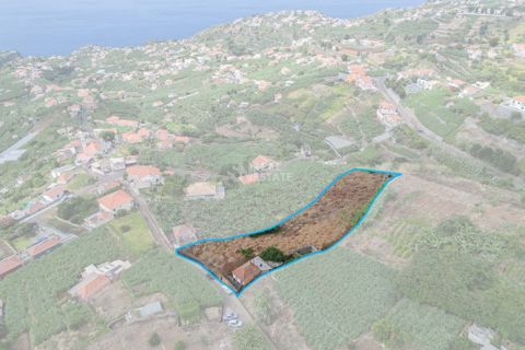 Villa i Ponta do Sol, Madeira, Ponta do Sol - € 420.000 | Ref: 071954 - foto 9