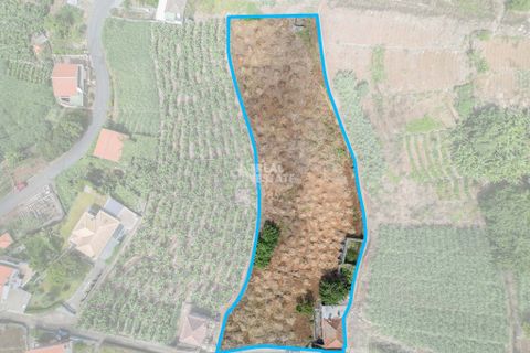 Villa i Ponta do Sol, Madeira, Ponta do Sol - € 420.000 | Ref: 071954 - foto 10