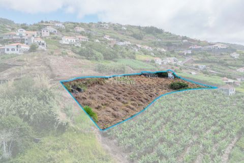 Villa i Ponta do Sol, Madeira, Ponta do Sol - € 420.000 | Ref: 071954 - foto 11