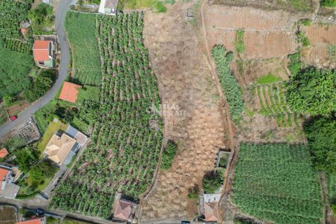 Villa i Ponta do Sol, Madeira, Ponta do Sol - € 420.000 | Ref: 071954 - foto 13