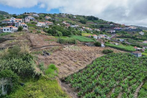Villa i Ponta do Sol, Madeira, Ponta do Sol - € 420.000 | Ref: 071954 - foto 14