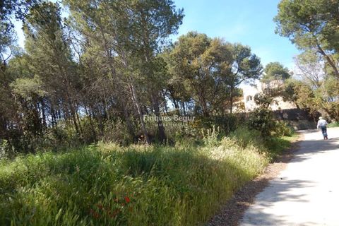 Helårsgrund i Palafrugell, Gerona, Palafrugell - € 280.000 | Ref: 3016 - foto 4