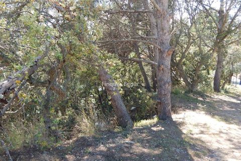 Helårsgrund i Palafrugell, Gerona, Palafrugell - € 280.000 | Ref: 3016 - foto 6